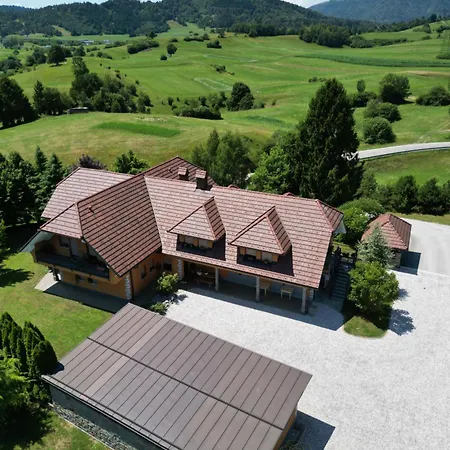 Sobe In Apartma Portus 3* Rakek