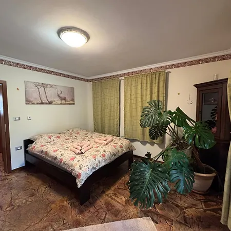 Sobe In Apartma Portus فندق مبيت وإفطار