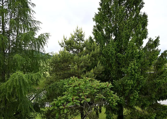 Sobe In Apartma Portus Rakek